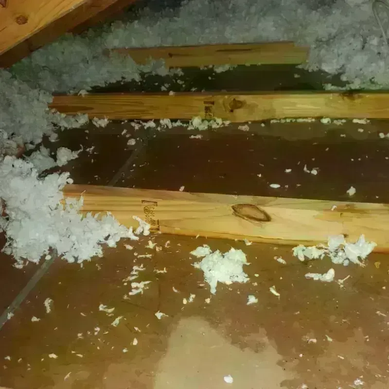 Attic Water Damage in Midway, KY